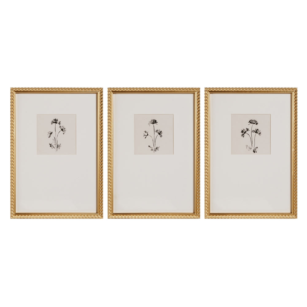 24" Ink Petals Framed Wall Art