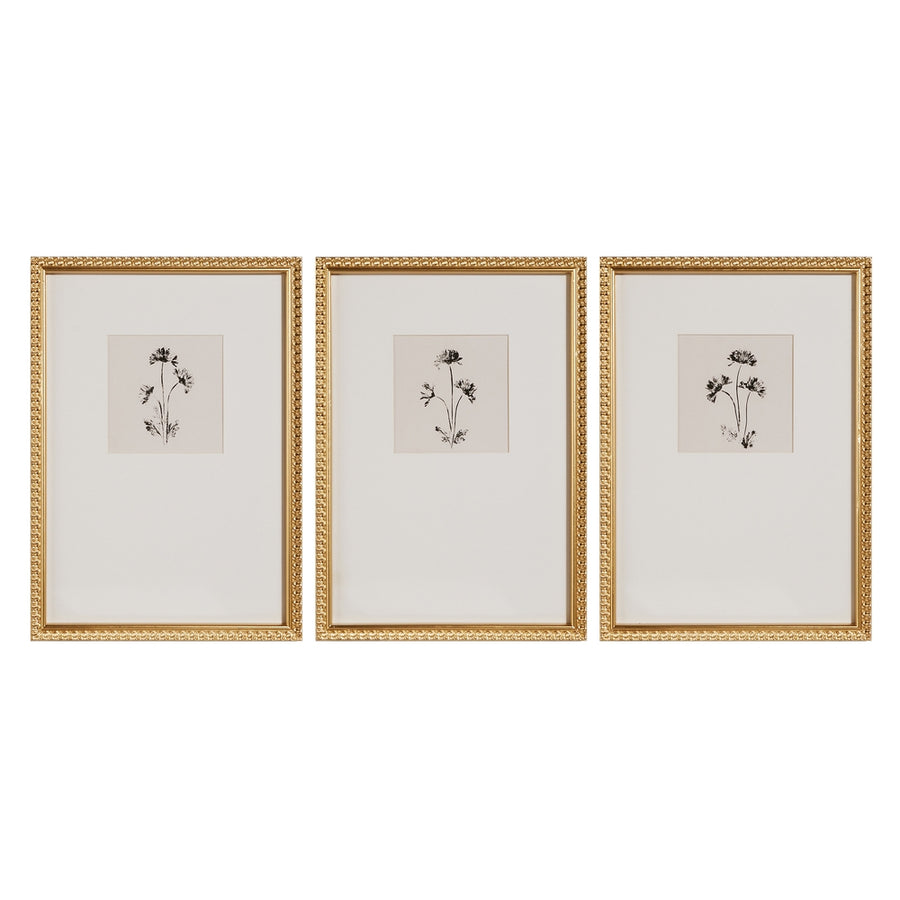 24" Ink Petals Framed Wall Art