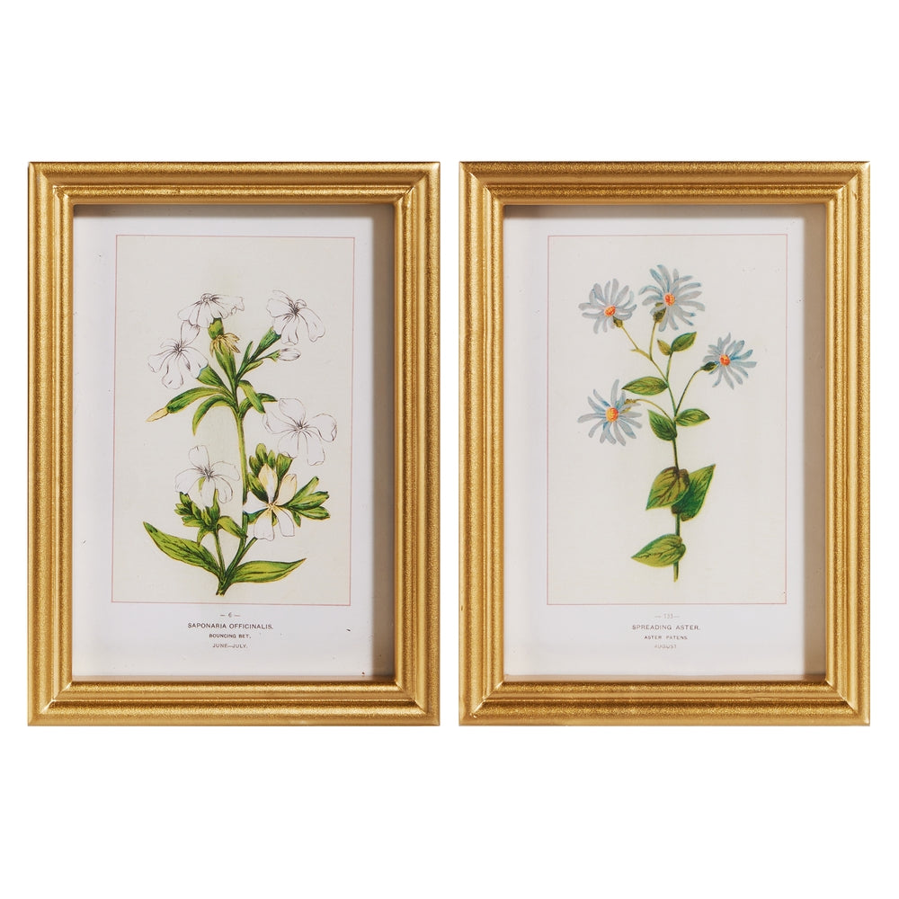 9" Wildflower Framed Wall Art