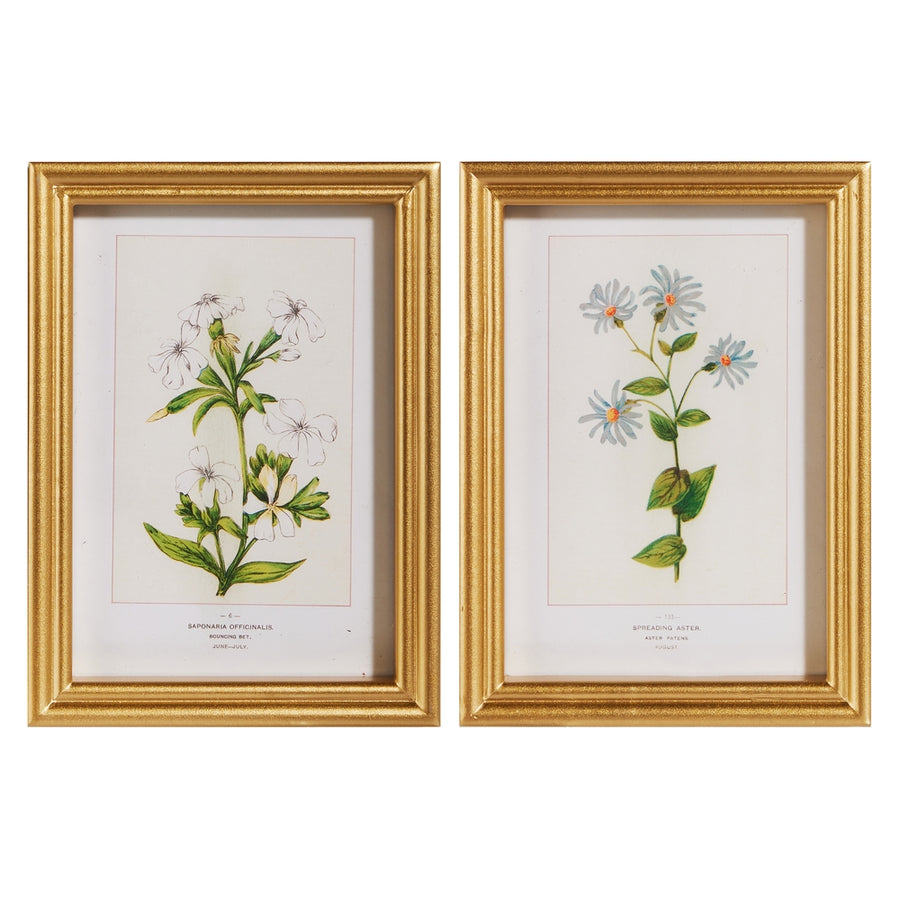 9" Wildflower Framed Wall Art
