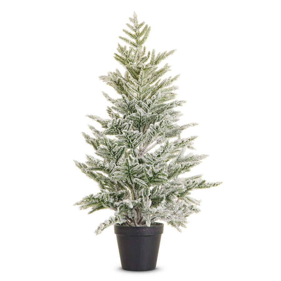 24" Potted Flocked Pine Tree