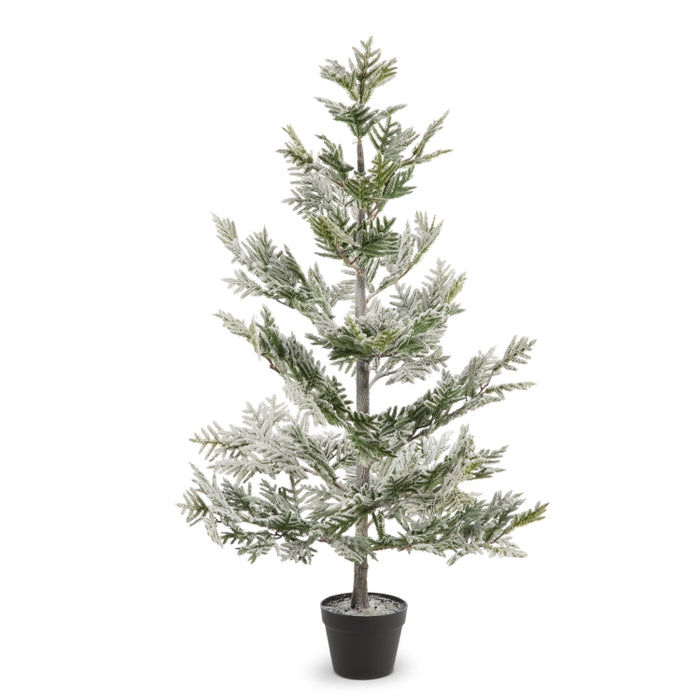 50" Potted Flocked Pine Tree