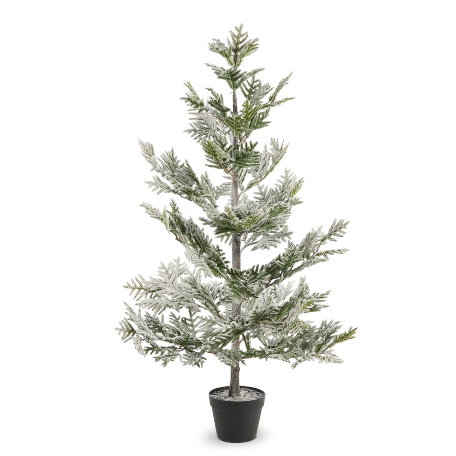 50" Potted Flocked Pine Tree