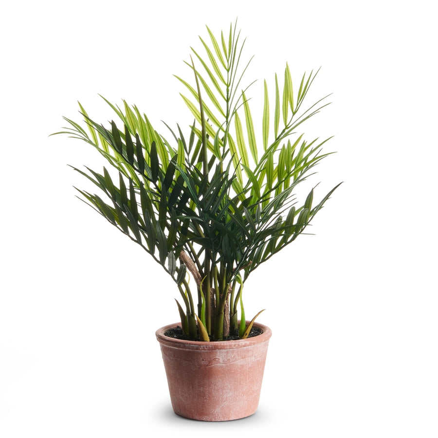 14.5" Potted Palm Plant