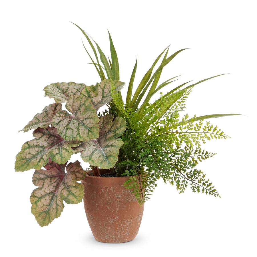 15" Potted Heuchera and Fern Mix