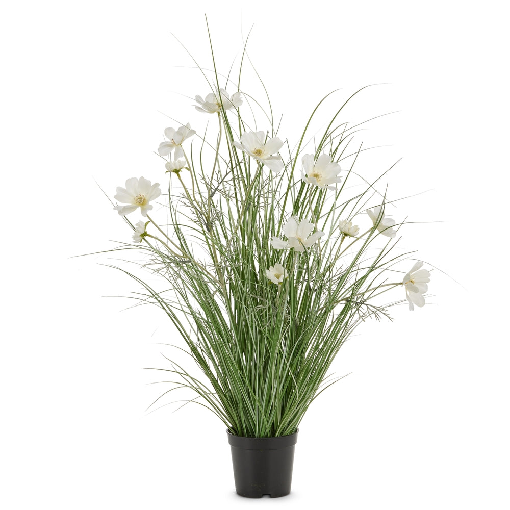 24" Potted White Cosmos and Grass Plant