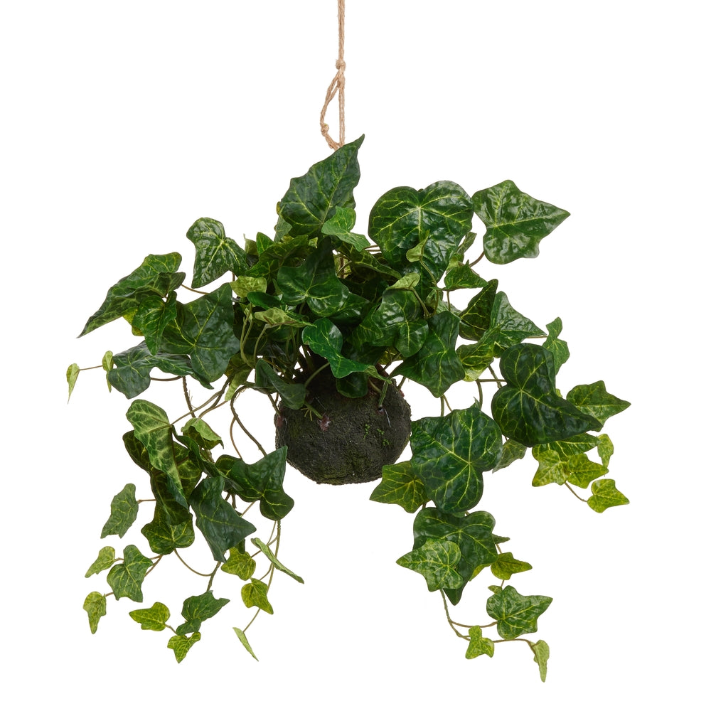 27" English Ivy Drop In