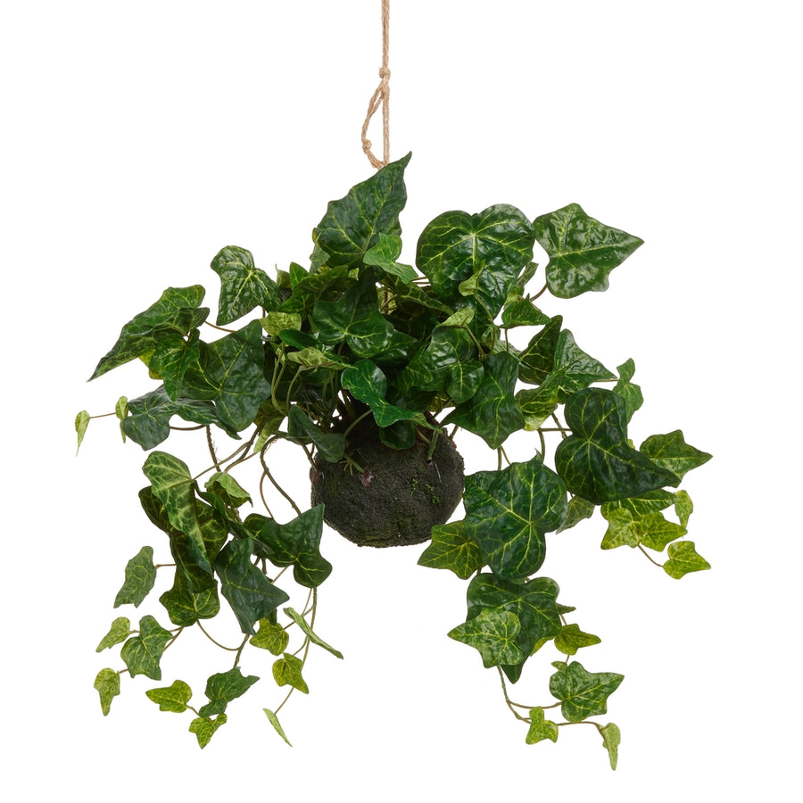 27" English Ivy Drop In