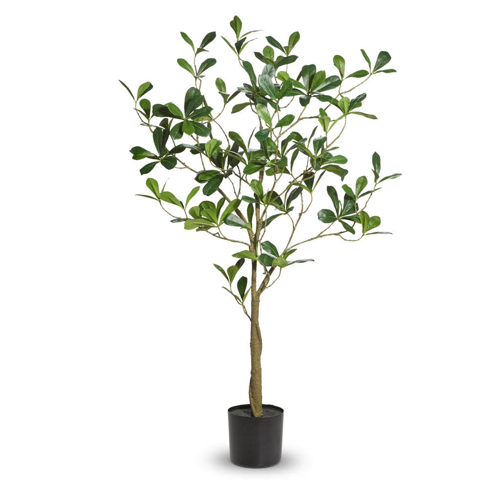 38.5" Potted Umbrella Tree