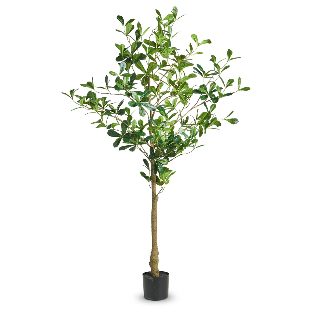 52" Potted Umbrella Tree
