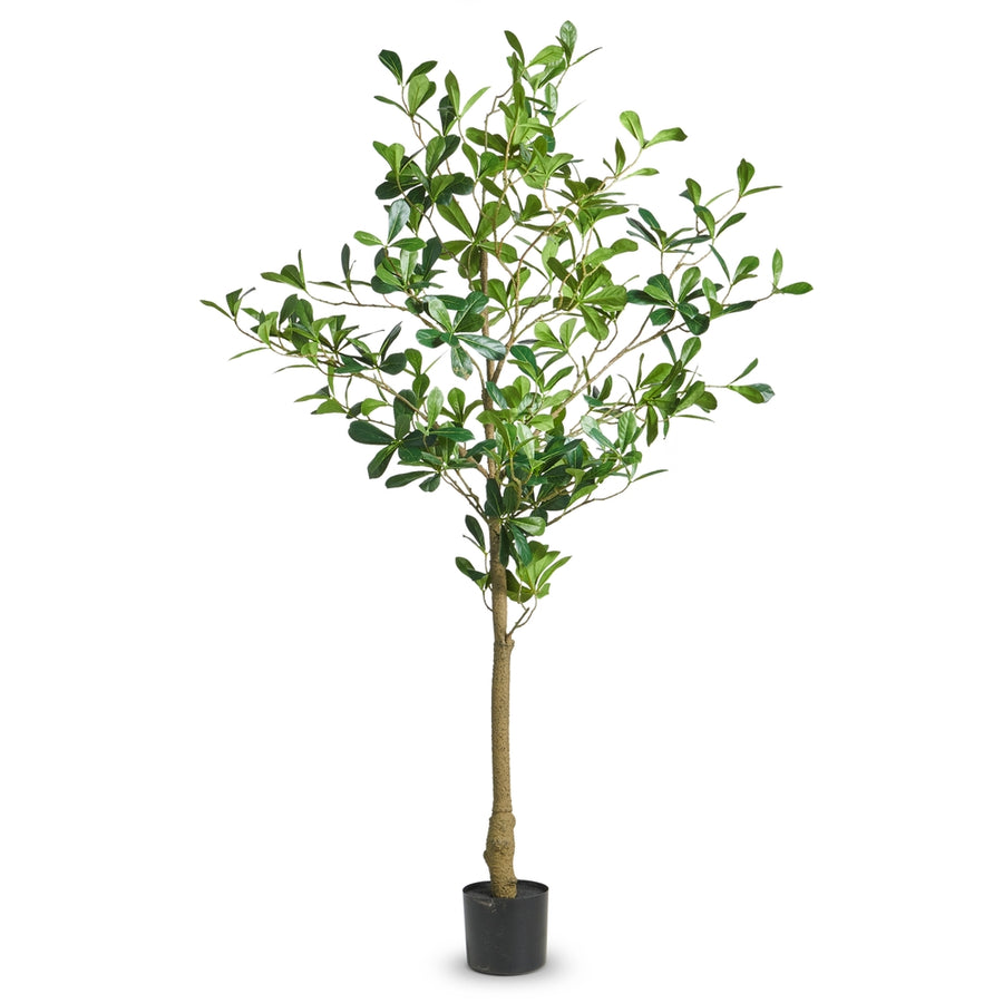 52" Potted Umbrella Tree