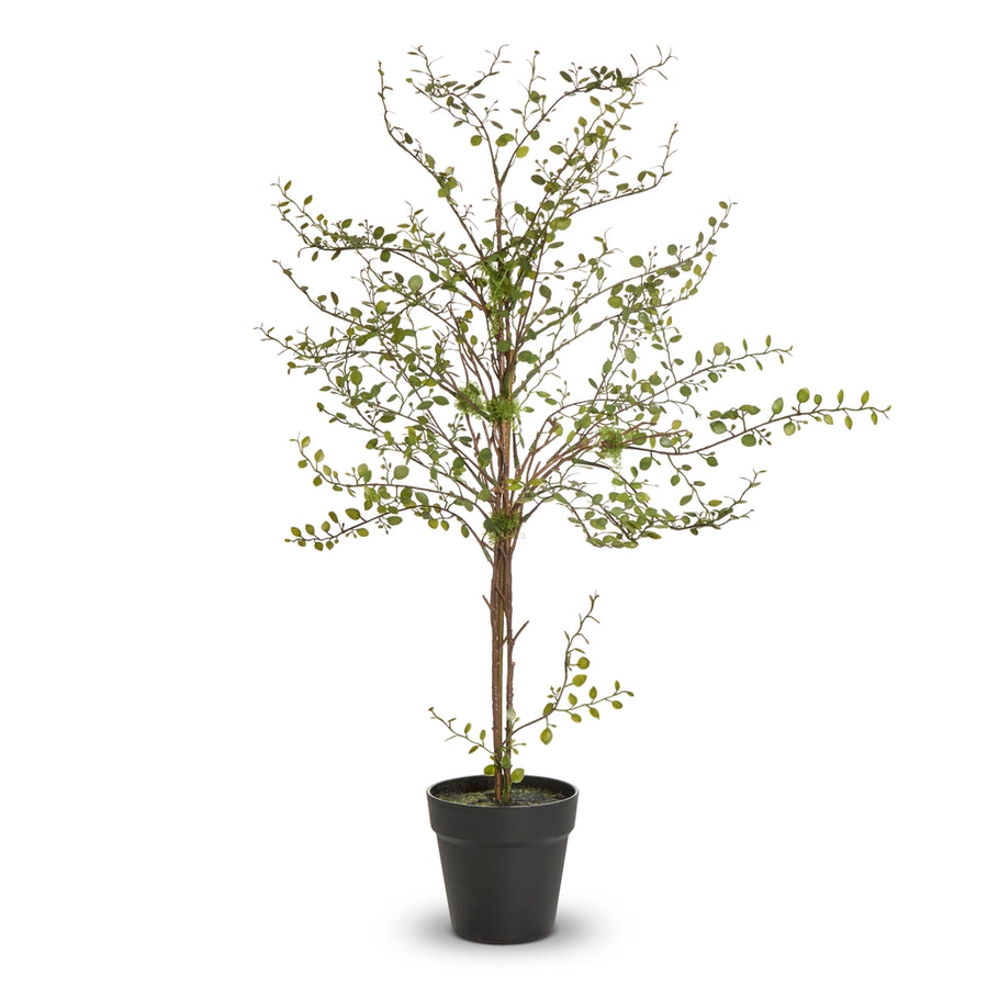 31" Potted Angel Vine Tree
