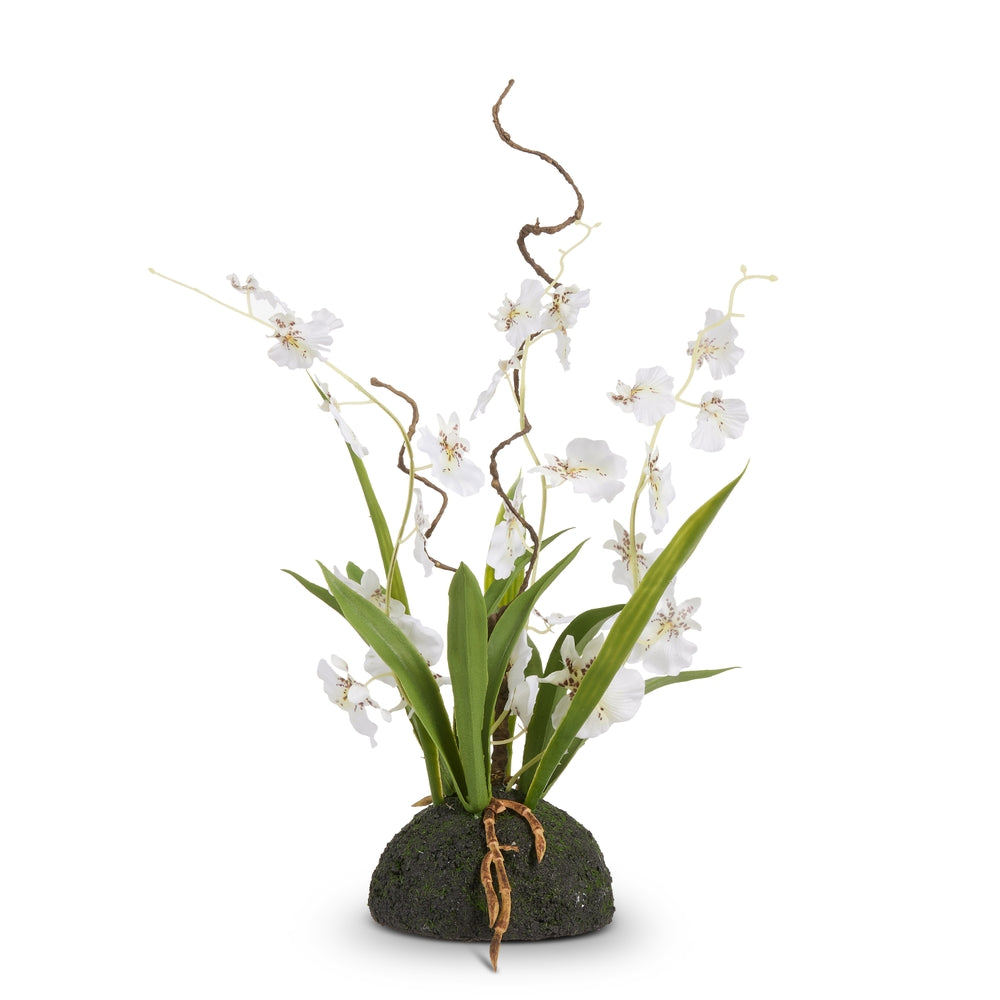14" White Oncidium Orchid Drop In
