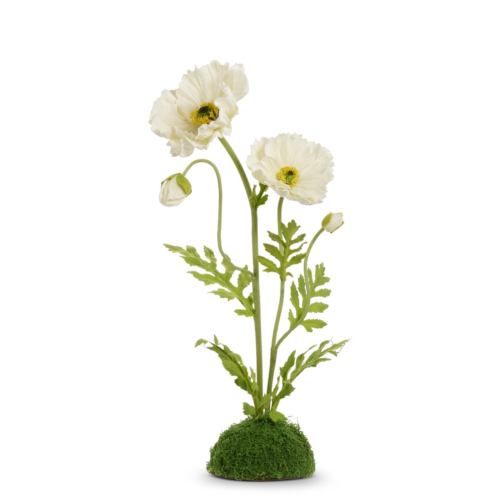 19" Poppy in Moss Drop In
