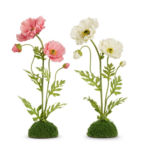 19" Poppy in Moss Drop In