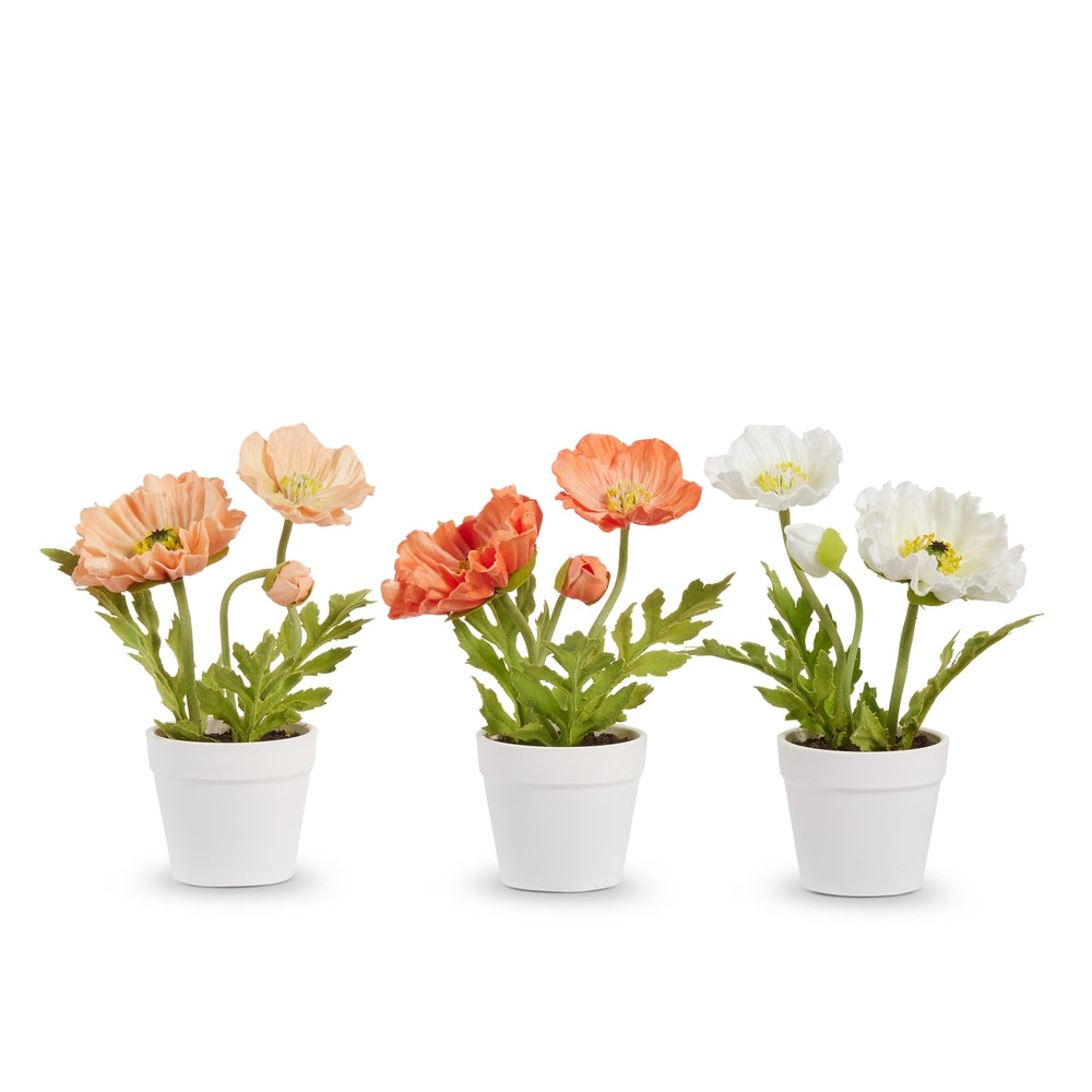 8.5" Orange Peach Cream Potted Poppies