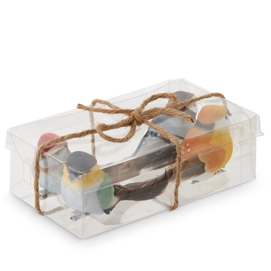 4.75" Box of Colorful Clip-on Birds