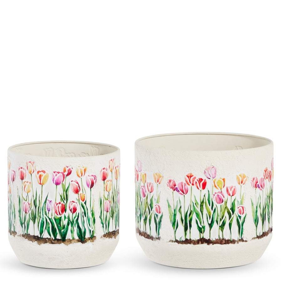 11" Tulip Pots