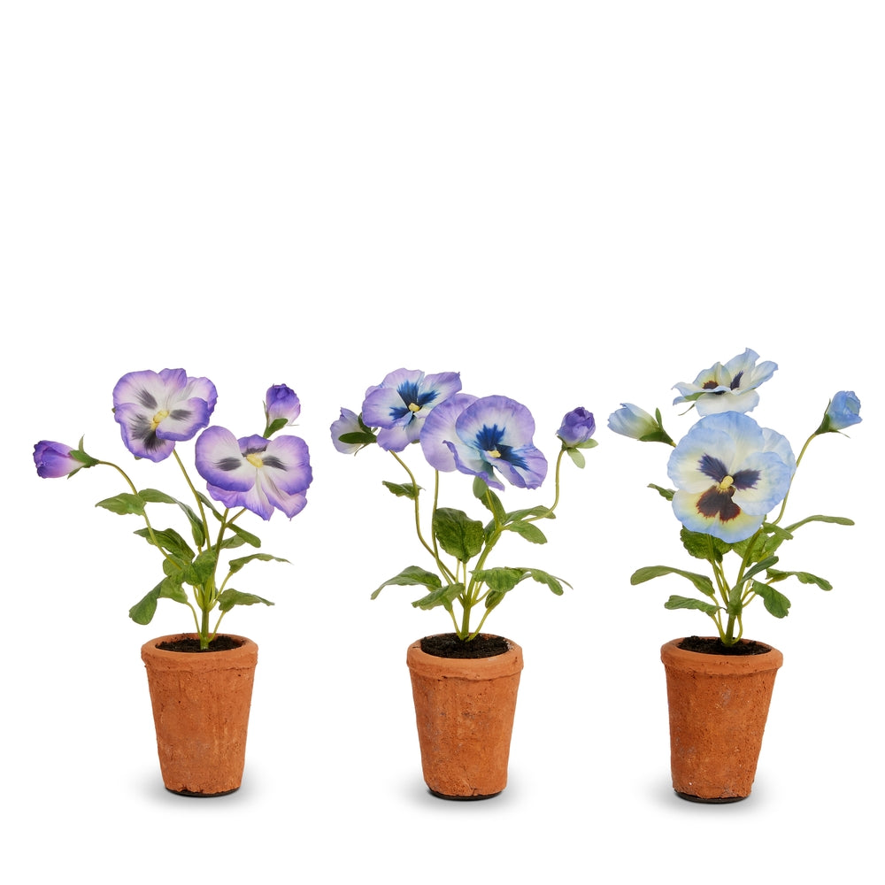 8.5" Purple and Blue Pansy Potted Plants