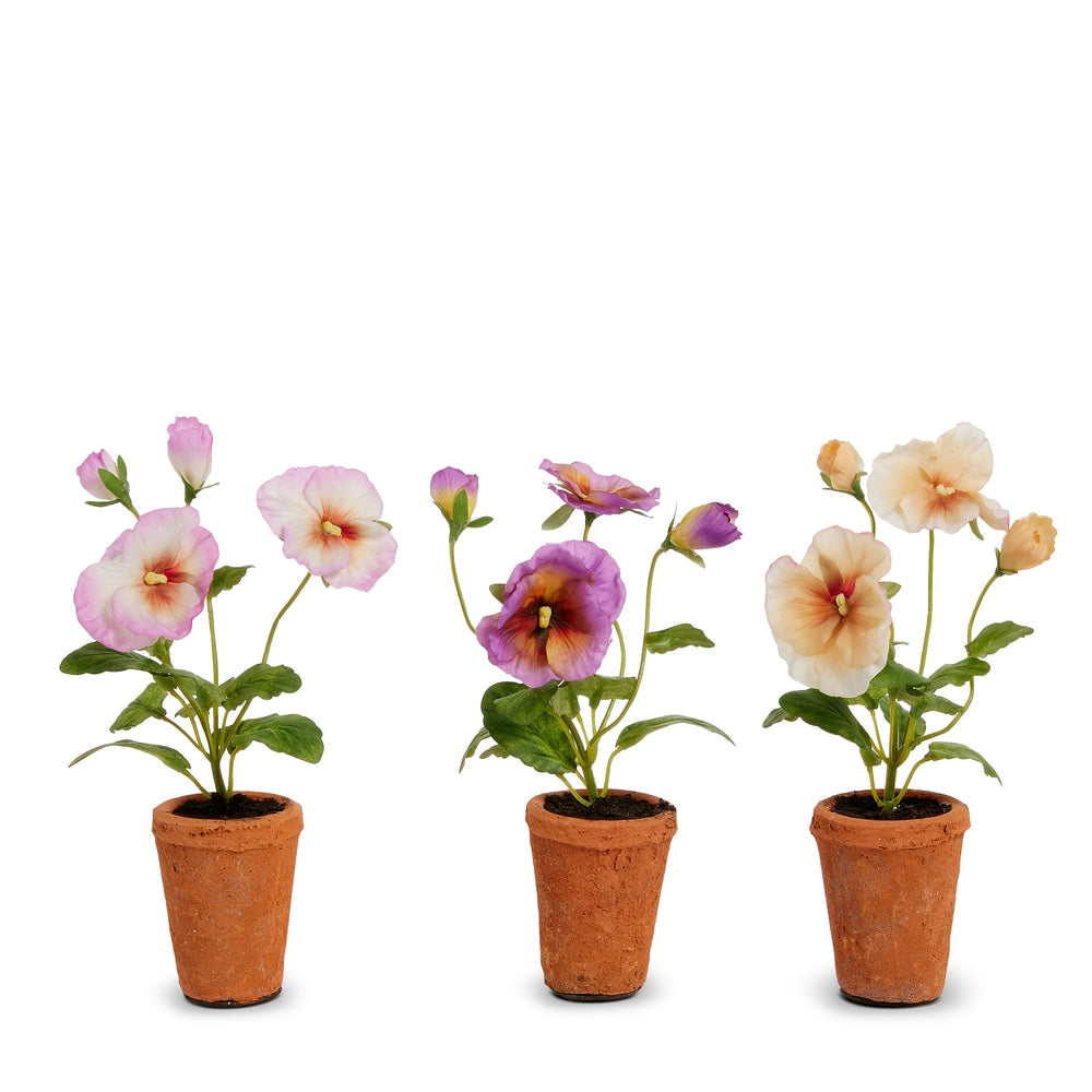 8.5" Orange and Pink Pansy Potted Plants