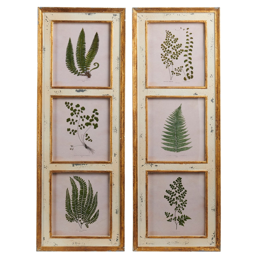 38" Fern Horticulture Framed Wall Art