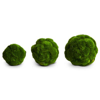 Moss Balls