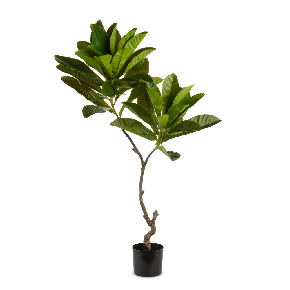 3.5' Potted Fiddle Leaf Tree