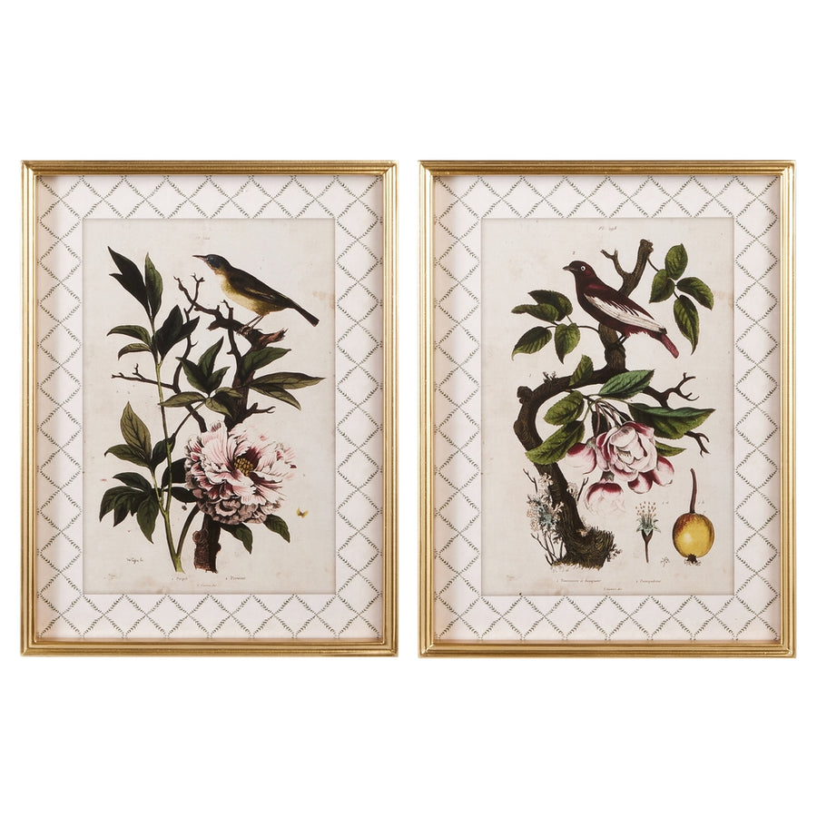 18" Spring Perch Framed Wall Art