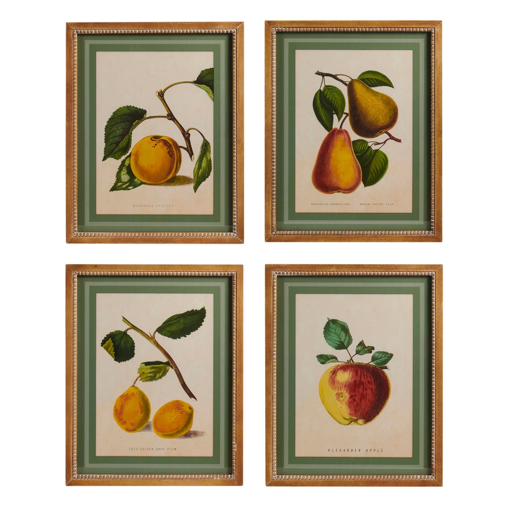 19.5" Fruit at Rest Wall Art