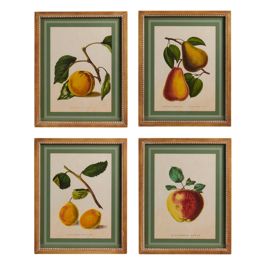 19.5" Fruit at Rest Wall Art
