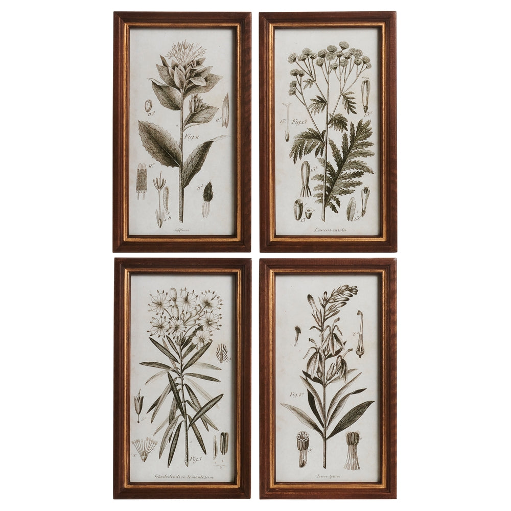 14" Recorded Botany Wall Art