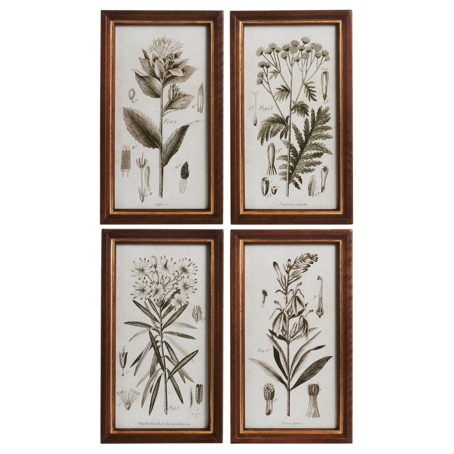 14" Recorded Botany Wall Art
