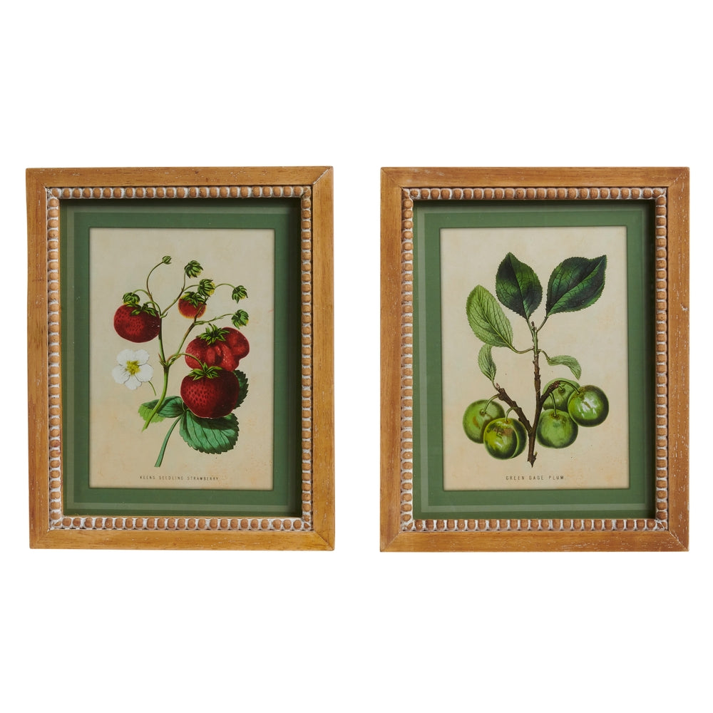 11.75" Fruit at Rest Wall Art