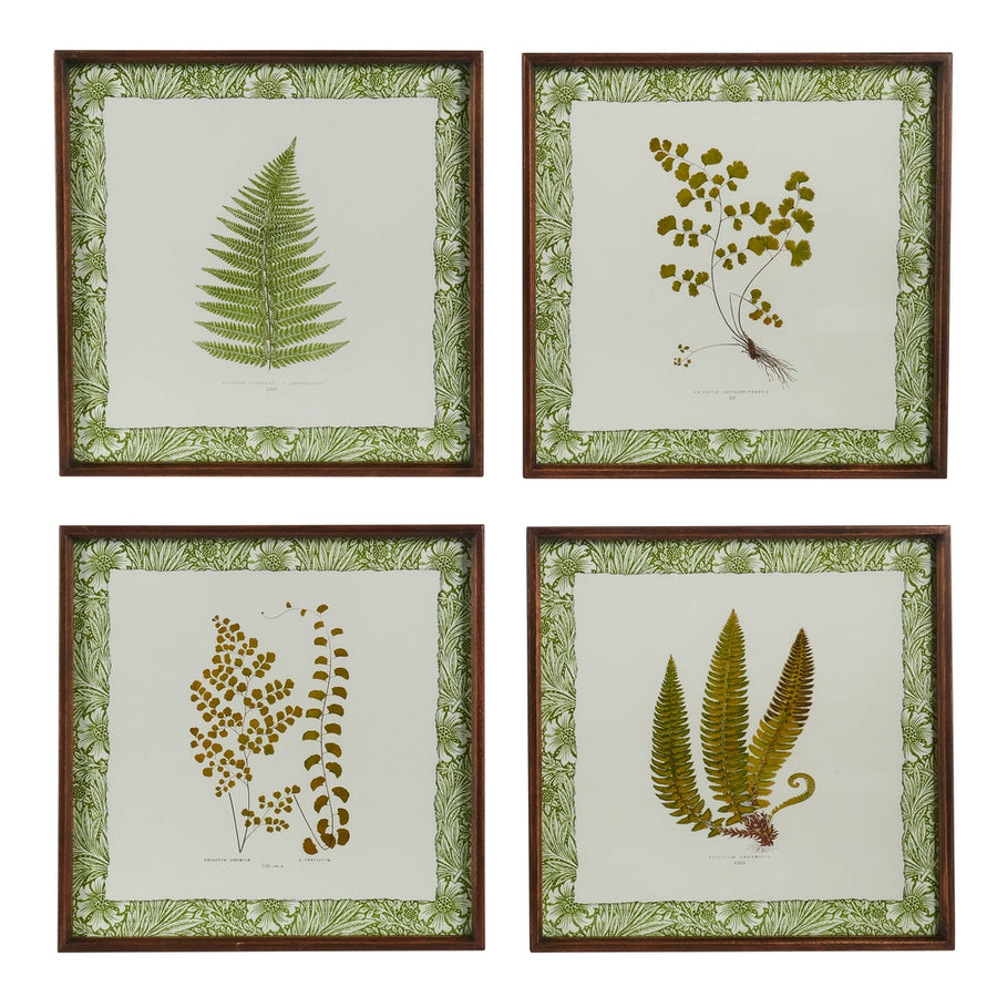 18" Fern Horticulture Wall Art