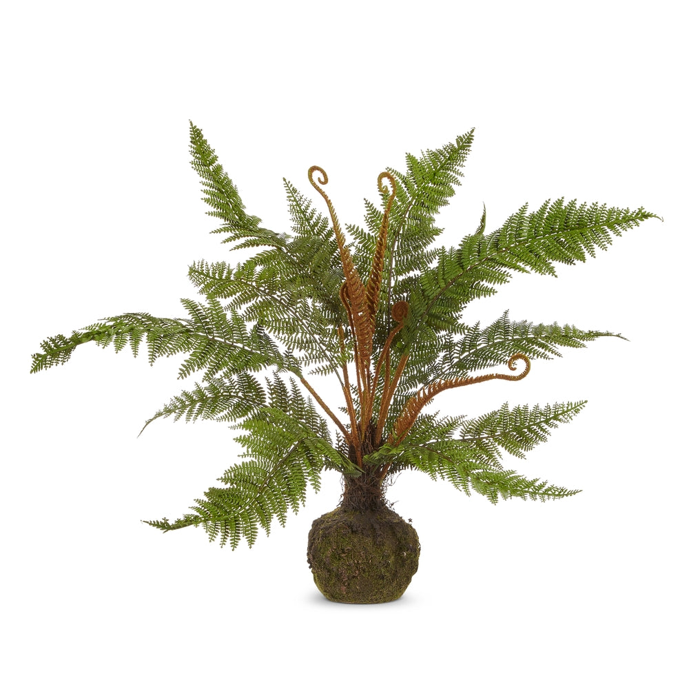 25" Fern Drop In