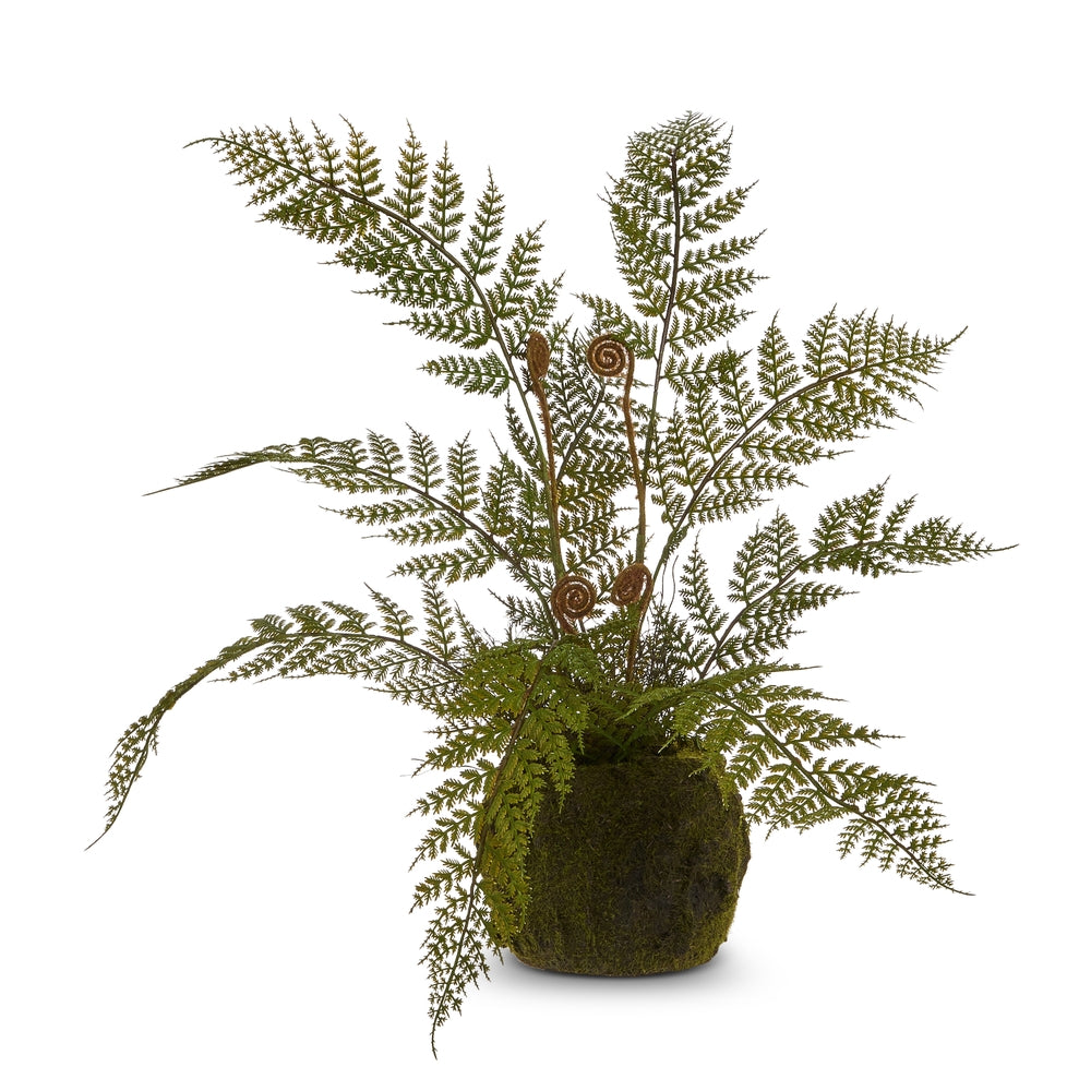 23" Fern Drop In