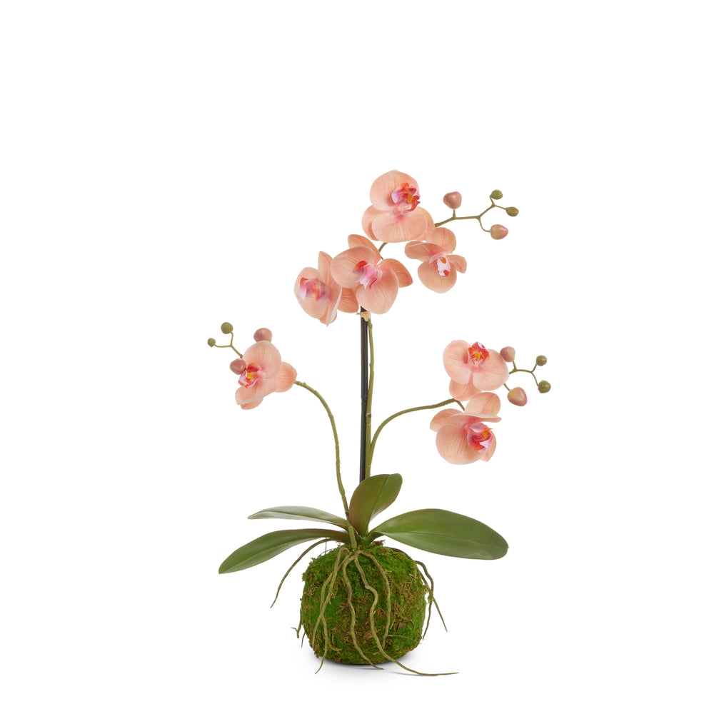 24" Real Touch Peach Orchid Bulb
