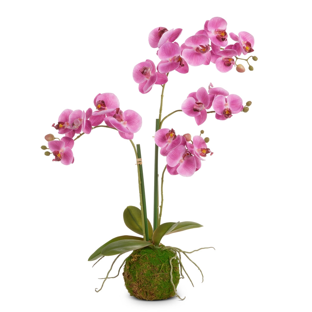 31" Real Touch Purple Ochid Bulb