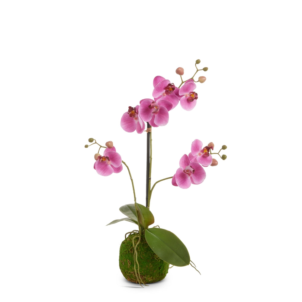 24" Real Touch Purple Orchid Bulb