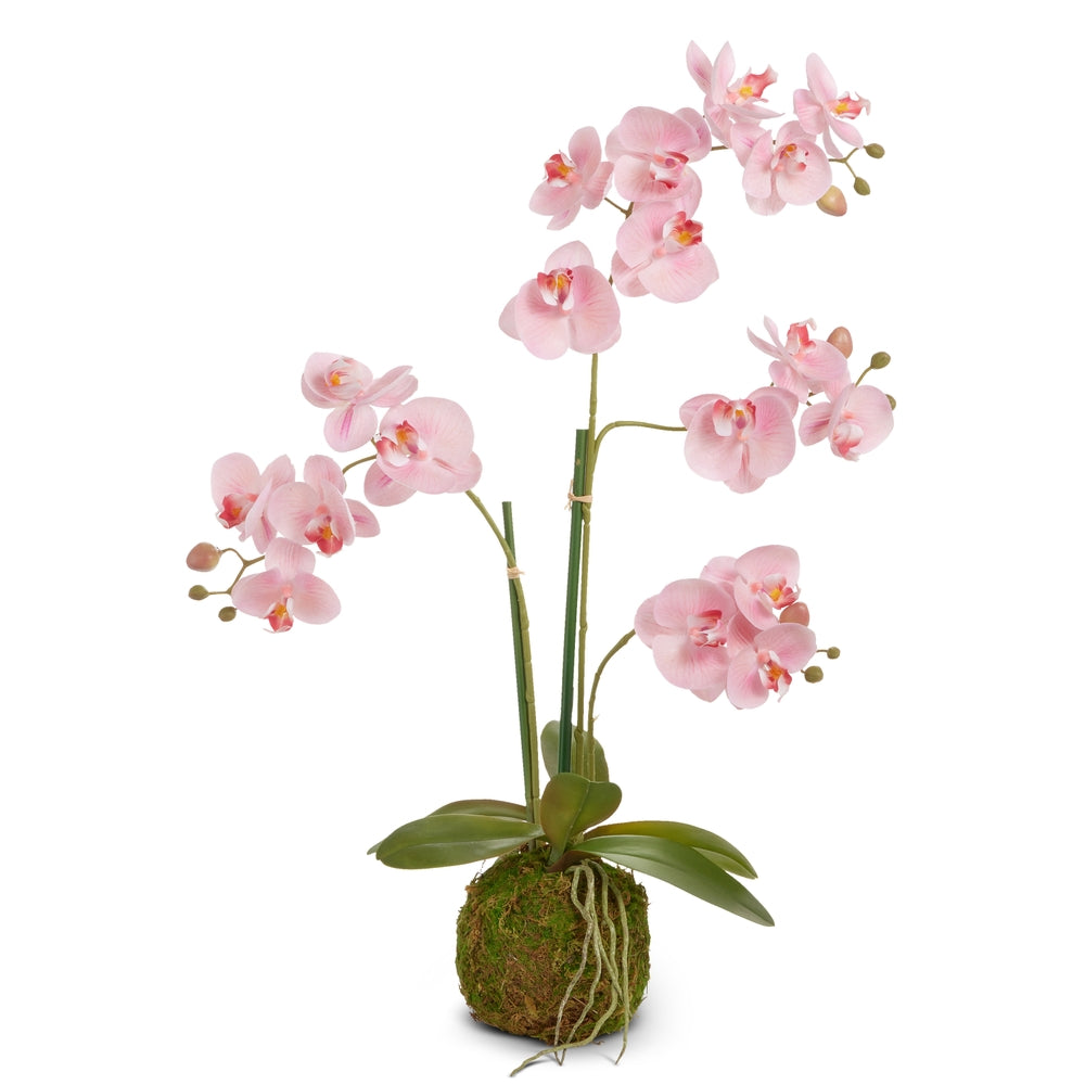 31" Real Touch Pink Orchid Bulb
