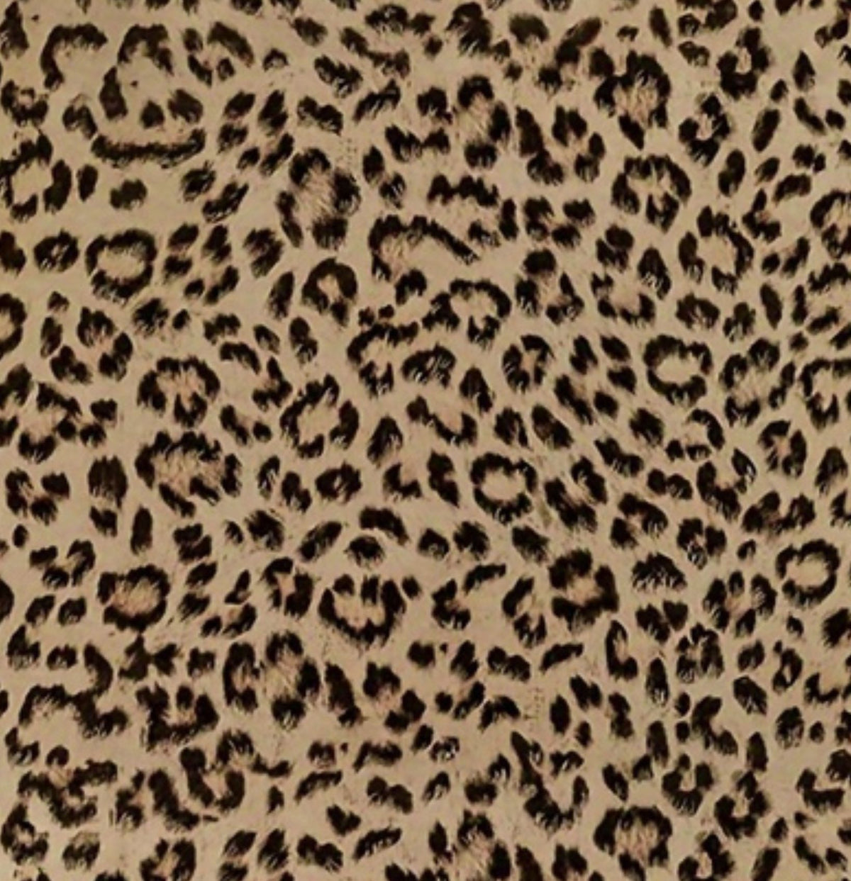 Dakota Leopard Print Wallpaper
