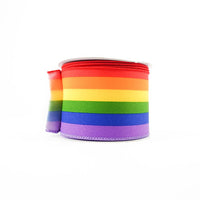 RIBBON RAINBOW VERTICAL STRIPE WITH 2.5X10YDS