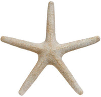 Decorative Star Fish - 20 x 2 Inches
