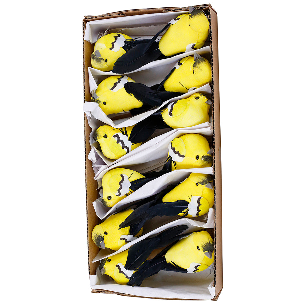 Yellow 3-1 2 Inch Gold Finch 3.5 Inch