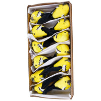 Yellow 3-1 2 Inch Gold Finch 3.5 Inch