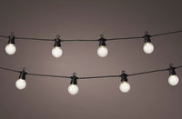 31 FT 20 LED Starter Set Warm White Party Lights With Black Wire