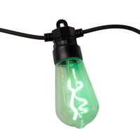 9' UL 400L Multicolor Edison Bulb Light Set