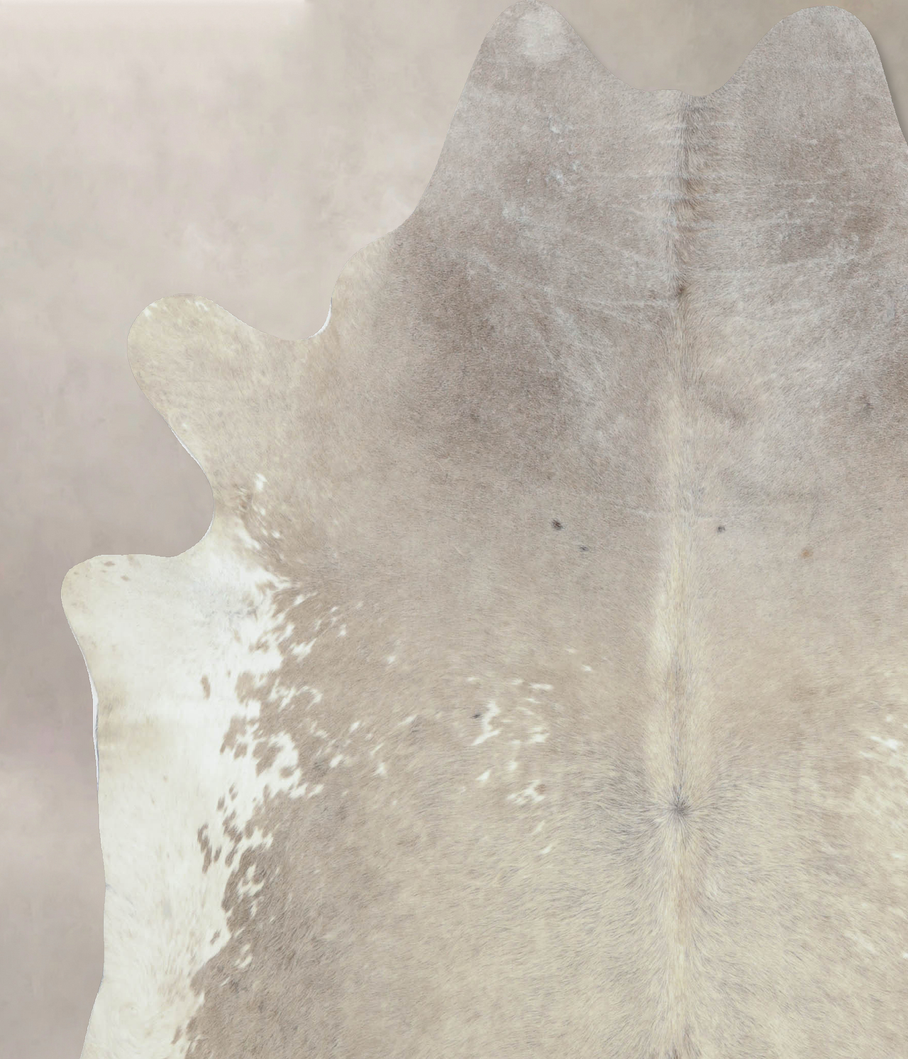 Luxurious Grey and White XX-Large Brazilian Cowhide Rug