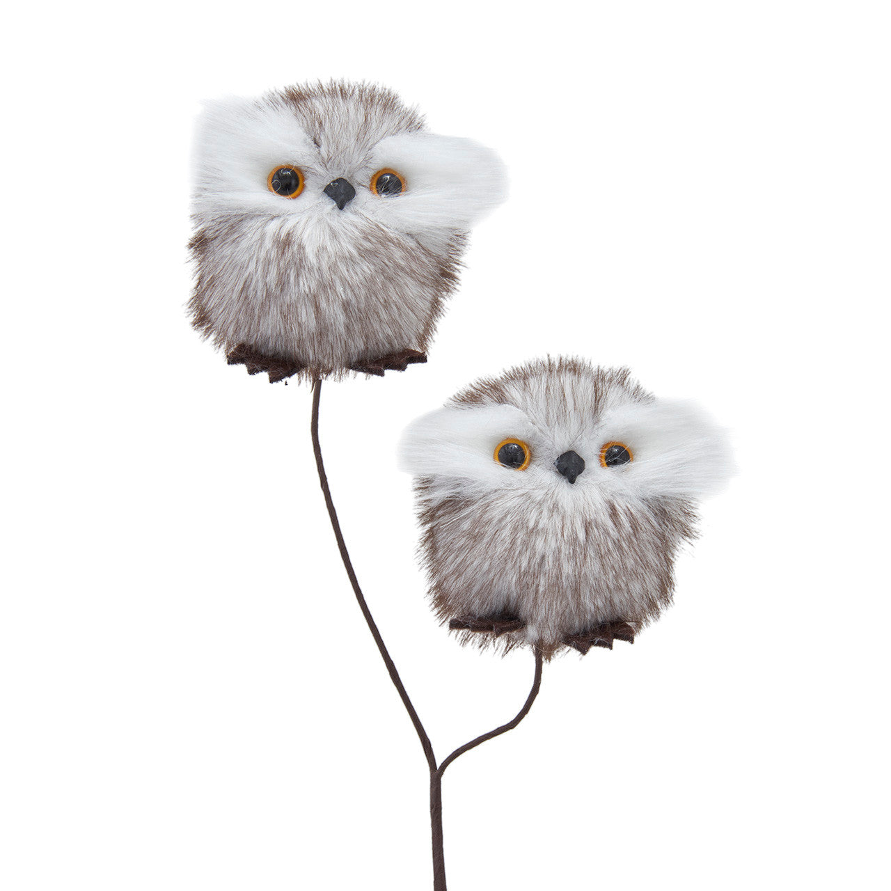 Brown Owls Spray