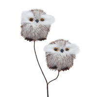 Brown Owls Spray
